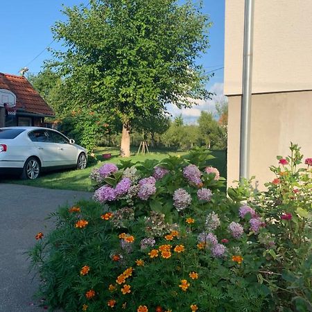 Apartman Mauro Rakovica Exteriér fotografie