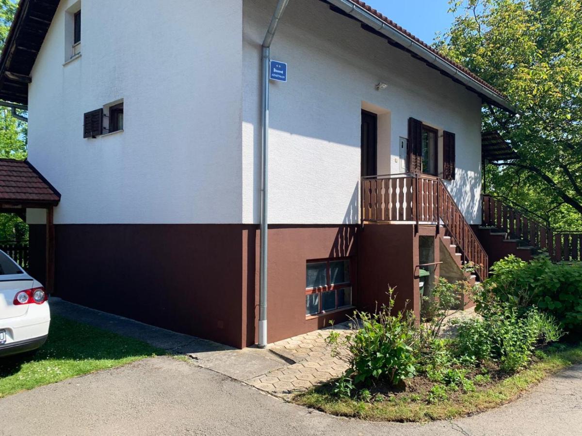 Apartman Mauro Rakovica Exteriér fotografie