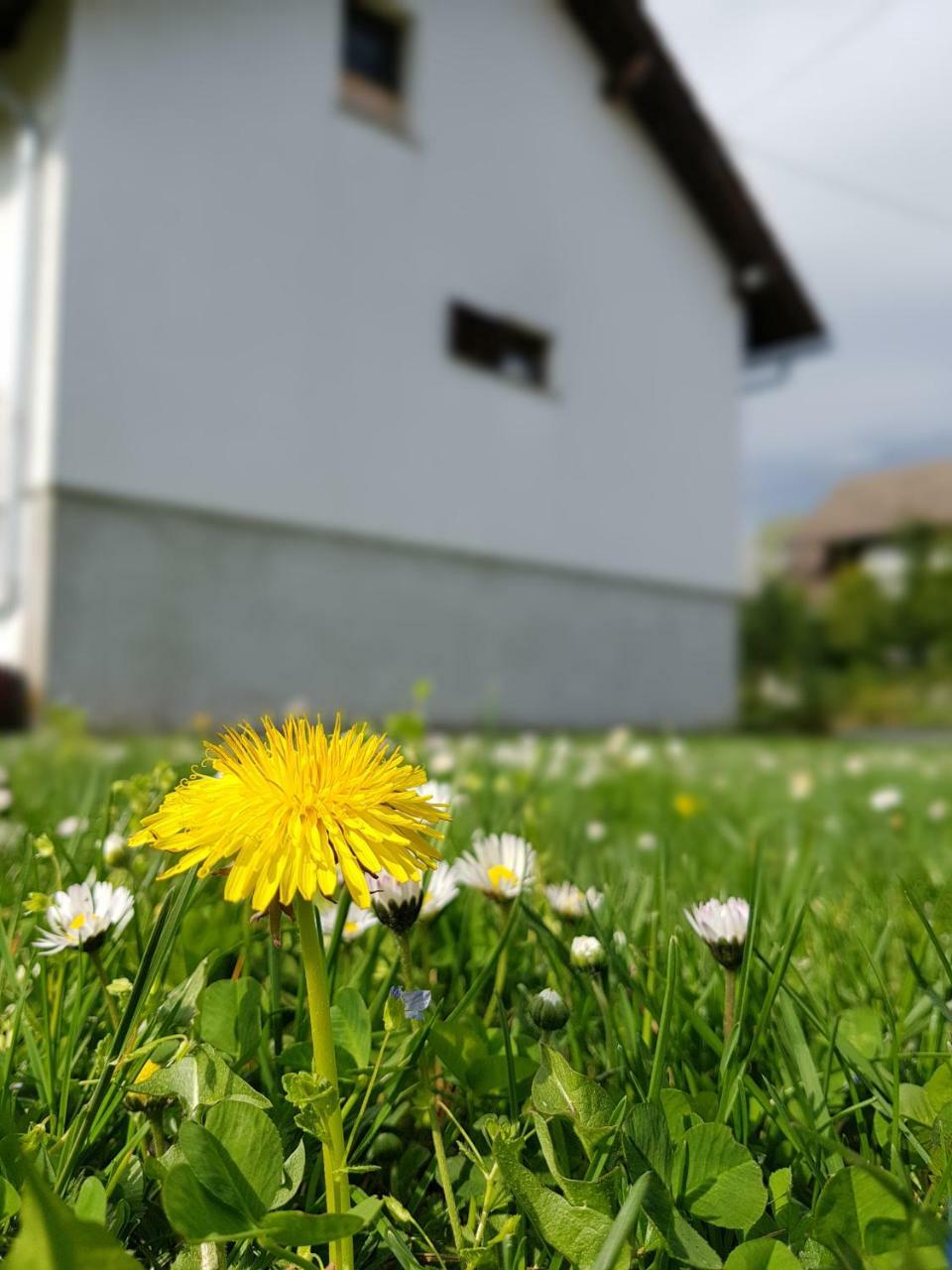Apartman Mauro Rakovica Exteriér fotografie