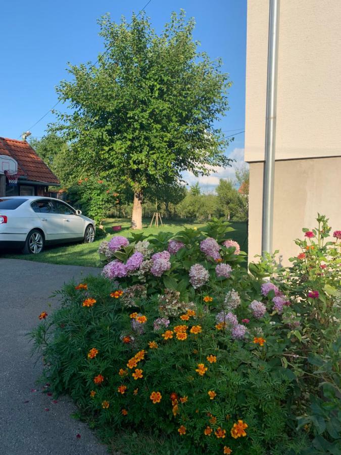 Apartman Mauro Rakovica Exteriér fotografie